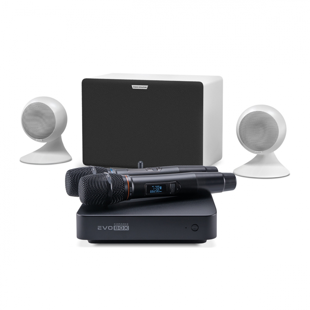 караоке-комплект EVOBOX Classic + EvoSound Sphere 2.1 в Иркутской области